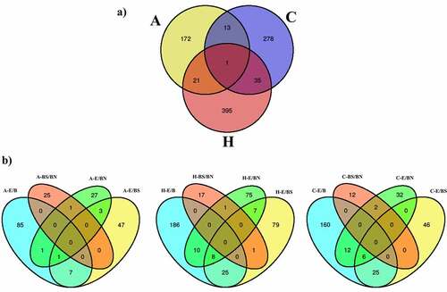 Figure 3. Venn diagrams showing (a) combined DMRs identified per tissue and (b) DMRs identified per contrast in each tissue: amygdala (A), frontal cortex (C) and hippocampus (H).