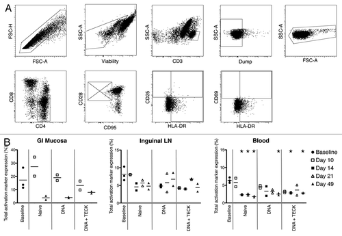 Figure 2. (A) Activation marker gating strategy. Top row, left to right: singlets, viable cells (exclude LIVE/DEAD Fixable Aqua), CD3+ cells, Dump- cells (CD14 and CD20), and lymphocytes. Bottom row, left to right: CD4+CD8- cells, non-naïve cells (excluding CD28+CD95- population), CD25 vs. HLA-DR expression, and CD69 vs. HLA-DR expression. (B) Total activation marker expression in GI mucosa (left), inguinal LN (center), and blood (right). Y-axis indicates percentage of CD3+CD4+ non-naïve T cells expressing CD25, CD69, and/or HLA-DR. Open shapes indicate biopsies and closed shapes indicate necropsies. Solid gray lines separate experimental groups. Note missing data points, due to poor cell recovery, for GI mucosa, days 14 and 21, all experimental groups, and for inguinal LN, day 10, DNA group. *p < 0.01, decreased compared with baseline.