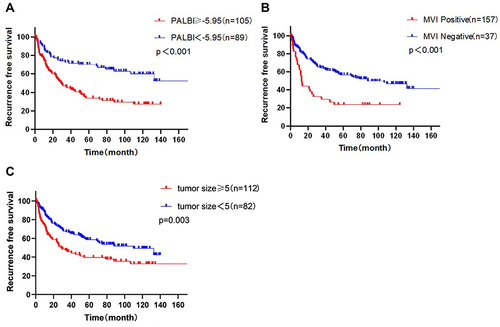Figure 2 Relationship of independent risk factors with recurrence-free survival (RFS) in alpha-fetoprotein-negative hepatocellular carcinoma patients. (A) RFS of patients with platelet–albumin-bilirubin (PALBI) scores <-5.95 was longer than that of patients with PALBI scores ≥-5.95. (B) RFS of patients with microvascular invasion (MVI) was longer than that of patients without MVI. (C) RFS of patients with tumor size <5 cm was longer than that of patients with tumor size ≥5 cm.
