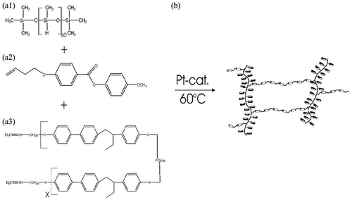 Figure 38. Fabrication of a liquid crystal elastomer (LCE) by a platinum catalyzed hydrosilylation reaction: (a1) reactant poly(methylhydrogensiloxane), (a2) reactant 4-but-3-enyloxybenzoic acid 4-methoxyphenyl ester mesogen side chain, (a3) reactant nematic polyether based on 1-(4-hydroxy-4-biphenyl)-2-[4- (10-undecenyloxy)phenyl]butane, end-functionalized by vinyl groups, (b) LCE product from platinum catalyzed hydrosilylation at 60◦ C. Figure reprinted with permission from [Citation23].