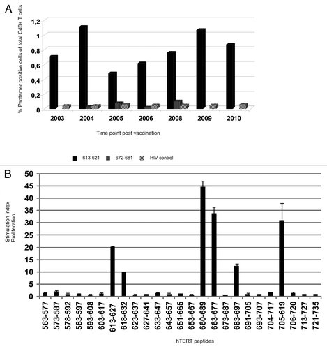 Figure 4.T-cell reactivity against multiple unrelated hTERT Th and CTL epitopes. (A) shows pentamer analysis of hTERT-specific HLA-B*0702 restricted CD8+ T cells post vaccination. PBMCs were stained ex vivo with two pentamers with novel hTERT peptides 613–621 and 672–681 which were nested epitopes of GV1001 and 660–689, respectively. Vaccination started in 2002 and post vaccination samples from the years indicated were tested. Black bars represent T cells specific for peptide 613–621-specific, dotted bars peptide 672–681 and hatched bars the HIV control peptide. (B) shows a summary of all post-vaccination-T cell responses detected against several unrelated 15- and 30-mer hTERT peptides. PBMCs from different post-vaccination sample time points were pre-stimulated with 25 overlapping hTERT peptides and tested for proliferation against single peptides.