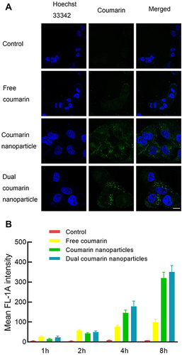 Figure 5 Cellular uptake of various coumarin nanoparticles.