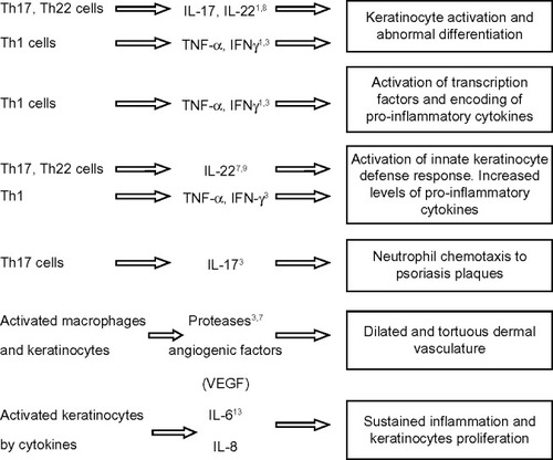 Figure 2 Types of T helper (Th) cells and pro-inflammatory cytokines responsible for major pathogenic events in psoriasis.