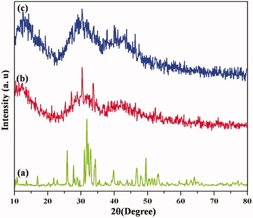 Figure 2. XRD spectra of (a) HAP, (b) PXSA, (c) HAP/PXSA and (d) HAP/PXSA/VK.