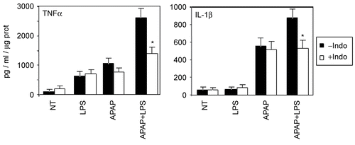 Figure 8.  PGHS inhibitor modulated TNFα and IL-1β production induced by APAP and LPS in RAW264.7 cells. After a 1 hr-pre-treatment with indomethacine (□) at 50 μM or medium (▪), APAP (1 mM) or LPS (0.1 ng/ml) or APAP and LPS were added to culture medium for a supplementary 24 hr. Supernatants were analyzed for cytokine production by ELISA. Values (expressed as pg/ml/μg protein) are mean ± SD of three independent experiments. *p < 0.05 vs indo value.