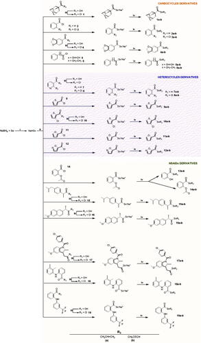 Scheme 1. Synthesis procedure to yield 1a–19a and 1b–19b derivatives. Reagents and conditions: (i) H2O, 20 min, and room temperature; (ii) THF/H2O, 60 min, and room temperature; (iii) ClCOCOCl, CH2Cl2, 12 h, and room temperature; (iv) BrCH2CH = CH2 or BrCH2C≡CH, THF/H2O, 90 min, and room temperature.Citation30