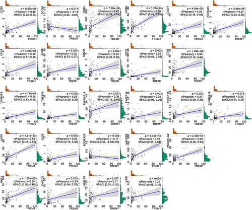 Figure 7 TREM-1 expression is significantly correlated with the expression of 26 common immune checkpoint genes based on TCGA database.