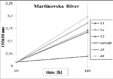 Figure 5. Pseudomonas putida growth inhibition tests for the River Martinovska. K1, K2, K3 – triplicate tests for the control; sample – undiluted water; 2× – water diluted twofold; 4× – water diluted fourfold.