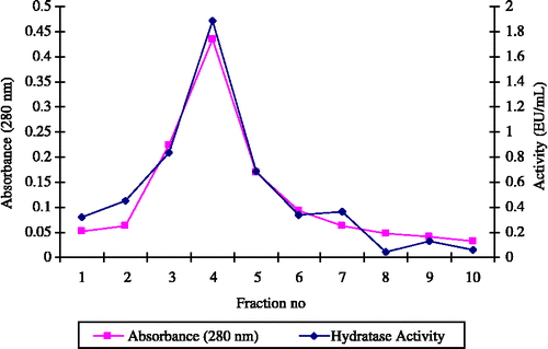Figure 1 The CO2-hydratase activity and protein concentration (280 nm absorbance) of dCA fractions eluted from affinity column with 0,1 M NaCH3COO / 0,5 M NaClO4 (pH5.6).