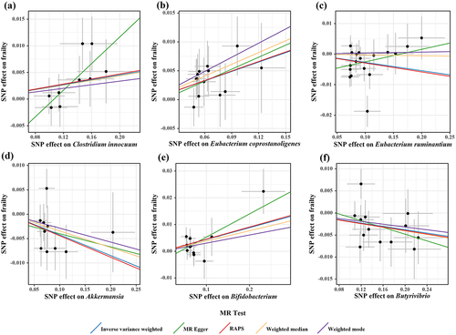 Figure 5. Scatter plots for causal effects of gut microbes on frailty.