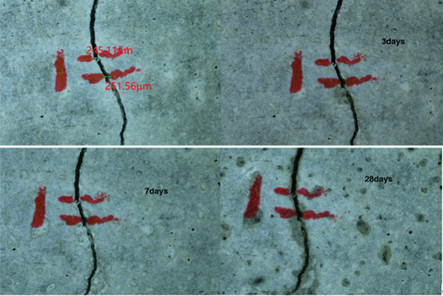 Figure 5. Self-healing of control mortar at 3, 7 and 28 days.