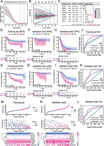 Figure 4. Development and validation of the immune risk (Imm-R) model. (a) Tuning parameter (λ) selection in the LASSO-Cox regression model was performed using 10-fold cross-validation via the 1 standard error for the minimum criteria. The black vertical lines were plotted at the optimal λ based on the minimum criteria and 1 standard error for the minimum criteria. (b) The LASSO coefficient profiles of the 61 immune-related genes and TIICs signature. A coefficient profile plot was produced versus the log (λ). (c) Parameters of Imm-R model. p values of features were indicated by the color scale presented on the side. Horizontal bars represent 95% confidence intervals. (d) and (e) Kaplan–Meier curves for RFS (d) and OS (e) of patients with high- and low Imm-R scores in the training set. (f) and (g) Kaplan–Meier curves for RFS (f) and OS (g) of patients with high- and low Imm-R scores in the validation set1. (h) and (i) Kaplan–Meier curves for PFS (h) and OS (i) of patients with high- and low Imm-R scores in the validation set2. (j)–(l) ROC curves for measuring the predictive value of the Imm-R model in the training set (j), validation set1 (k), and validation set2 (l). (m) and (n) Construction and analysis of risk scores in the training set and validation set2. Top panels: the risk scores of individual patients. Middle panels: the survival status and survival times of the patients distributed by risk score. Bottom panel: heatmap of the levels for the eight predictive factors distributed by risk score.