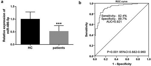 Figure 1. The diagnostic value of dysregulation of miR-486-5p in CAS patients. A. CAS cases exhibited significantly low serum miR-486-5p levels when compared with the control group (P < 0.001). B. ROC curve of serum miR-486-5p for identifying CAS from healthy individuals.