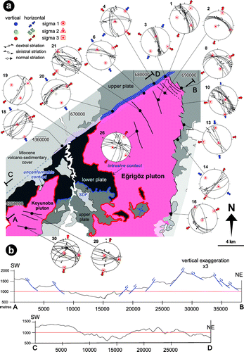 Figure 8. (a) Schmidt lower hemisphere equal-area projections of fault-slip data and principal stress directions from brittle faults in the Eğrigöz region. Refer to Table 2 for fault-slip measurements. Numbers on the upper left of stereoplots correspond to fault site number. (b) Topographic profiles parallel to the strike of the Gerni shear zone.