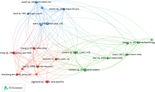 Figure 5 Network visualization map of co-cited references related to acupuncture for CP-related depression or anxiety.