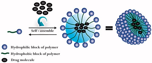 Figure 1. Schematic representation of polymeric micelles. Adapted from the published works of Xu et al. [Citation57].