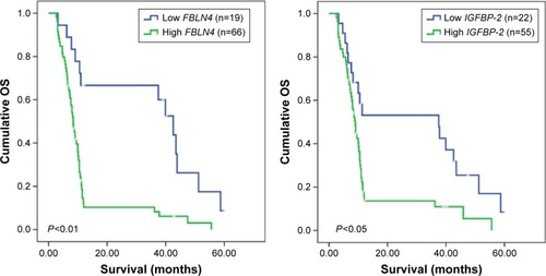 Figure 2 Kaplan–Meier estimates of OS in relation to FBLN4 and IGFBP-2 expression as determined by qPCR.