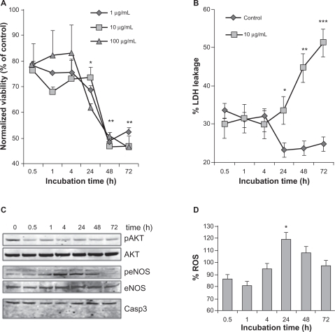 Figure 4 Effect of nanoparticles on endothelial cell viability. A) The number of viable cells was measured by 3-(4,5-dimethylthiazol-2-yl) diphenyltetrazolium bromide (MTT) when exposed to nanoparticles (NP) at the indicated times and concentrations. Results were expressed as a ratio to nonstimulated serum-free cultured cells for each time point. B) Cell toxicity was evaluated by LDH leakage and calculated as described in the method section, in human umbilical vein endothelial cells (HUVEC) exposed to 10 μg/mL of NP. C) Cells exposed to 10 μg/mL of NP were harvested for Western blot analysis at the indicated time points. Phosphorylation (p) of Akt and endothelial nitric oxide synthase (eNOS) was monitored, along with Akt, eNOS and Caspase 3. D) Reactive oxygen species (ROS) production was examined in NP (10 μg/mL)-exposed HUVEC at the indicated time points. Fluorescence values were normalized to the ones obtained in control conditions.Notes: All results are representative of three independent experiments, **P < 0.01; *P < 0.05.