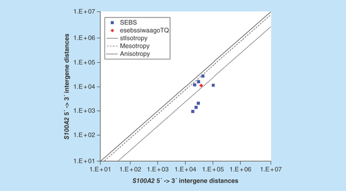 Figure 12.  ≤11,864 gene base category, S100A2, sub-episode block sums (MSEBS; ASEBS) and the final episodic sub-episode block sums split-integrated weighted average-averaged gene overexpression tropy quotient (esebssiwaagoTQ) @ Episode 3.