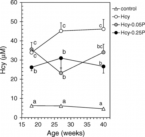 Fig. 2. Plasma Hcy concentrations.Notes: Mice were divided into four groups (control, Hcy, Hcy-0.05P, and Hcy-0.25P). Blood was collected from mice tail at 18, 27, and 40 weeks. Plasma Hcy concentrations were determined by HPLC. Results are expressed as mean ± SE (n = 9–10). Different characters indicate statistical significant differences in each week (p < 0.05). Hcy-0.05P, Hcy and 0.05% propolis; Hcy-0.25P, Hcy and 0.25% propolis.