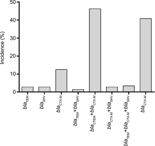 Figure 1 Distribution of ESBL genotypes in screened positive EC isolates.Abbreviations: EC, Escherichia coli; ESBL, extended-spectrum β-lactamase.