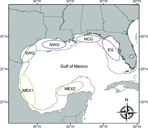 FIGURE 1 Nursery regions along the continental shelf of the Gulf of Mexico (Gulf), where age-0 red snapper representing the 2005–2007 year-classes were sampled. The 200-m depth contour indicates the continental shelf edge (regions: EG = eastern Gulf; NCG = north-central Gulf; NWG = northwestern Gulf; SWG = southwestern Gulf; MEX1 = Mexico region 1; MEX2 = Mexico region 2).