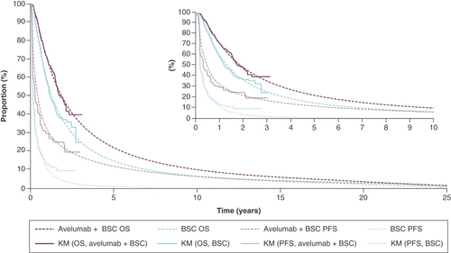 Figure 1. Efficacy outcomes applied in the cost–effectiveness model. BSC: Best supportive care; KM: Kaplan–Meier; OS: Overall survival; PFS: Progression-free survival.