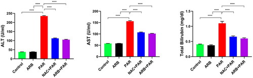 Figure 2. Effects of ARB extract on serum liver function markers in rats subjected to PAR-induced liver toxicity. Data are represented as mean ± SD (n = 6) using one-way ANOVA followed by Tukey’s multiple comparison test at ****P < 0.0001.