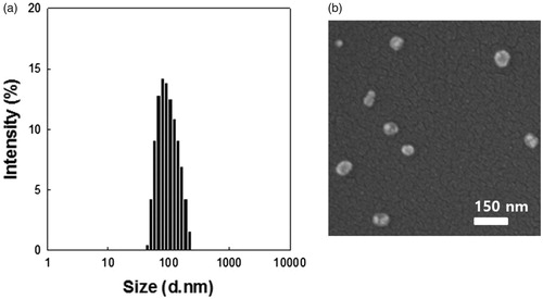 Figure 2. Characterization of DTBM (targeting 10%). (a) Particle size distribution by DLS and (b) morphologies by FE-SEM.