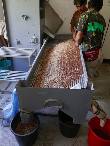 Figure 10. The Rice Terrace Farmers’ Cooperative (RTFC) rice mill, Banaue. Photo credit: Dominic Glover.