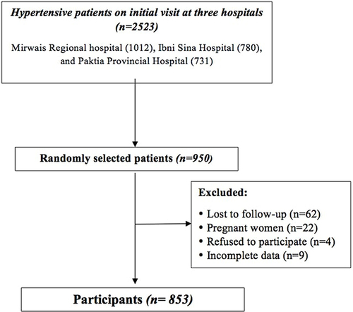 Figure 1 Participants’ inclusion flow chart.