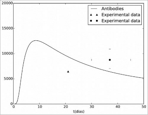 Figure 2. Antibodies curve generated by the computational model. The model simulates the antibody concentrations during a period of 50 d. The figure also presents experimental data extracted from Kay et al.41(▴) and from the collaborative groupCitation42 (•).