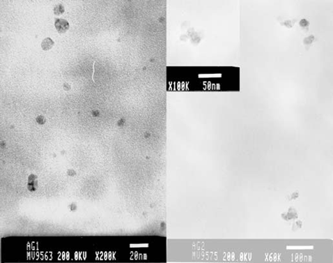 FIG. 7 Electron microscope images of fresh silver particles on the left and Aged II particles (ageing time 15 min) on the right.