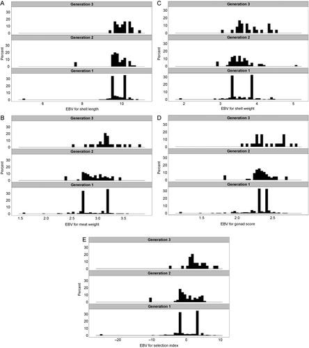 Figure 1 Genetic trends in four production-related traits and the weighted selection index in GreenshellTM mussels. A, Shell length; B, meat weight; C, shell weight; D, gonad condition; E, four-trait index. Each panel is a frequency histogram of family means in each of three generations. Generation 1 is the first-generation progeny from unselected parents collected directly from the wild. Generation 2 is the post-selection progeny of generation 1 and generation 3 is the post-selection progeny of generation 2. Data are the EBVs of all individuals estimated using mixed-model BLUP analysis in ASReml on re-scaled data (i.e. individual records divided by the phenotypic standard deviation within a field trial).