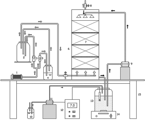 Figure 1. Schematic of the laboratory-scale biotrickling filter. (1) Air pump. (2) Air-mixing chamber. (3) Air rotameter. (4) Impinger for xylene. (5) Air inlet port. (6) Biotrickling filter. (7) Polyurethane packing. (8) Air outlet port. (9) Nutrient medium peristaltic pump. (10) NaOH solution. (11) Lye peristaltic pump. (12) pH online monitor. (13) Nutrient medium. (14) Magnetic stirrer. (15) Support table.