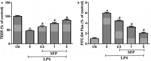 Figure 2. Effects of sulforaphane (SFP) on the monolayer barrier function of Caco-2 cells exposed to LPS. Cells were treated for 24 h with LPS (1 μg/mL) and different concentrations of sulforaphane (0.5–5 μM). (a) TEER measurements. (b) FITC-D4 flux measurements. Values are mean ± SD (n = 6). Difference between two groups was performed by an independent-samples t-test, *P < 0.05 vs. control group (CN); #P < 0.05 vs. LPS group. The difference between different concentrations of sulforaphane was performed using one-way analysis of variance