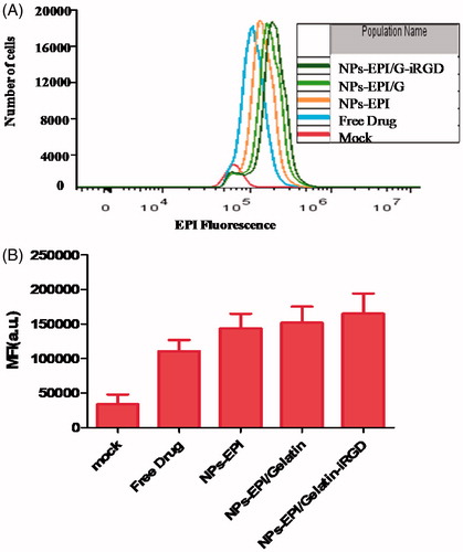 Figure 11. (A) Intracellular fluorescence intensity of different groups measured by flow cytometry. (B) Mean fluorescence intensity of different groups measured by flow cytometry.