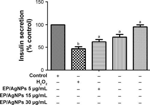 Figure 6 Effects of EP/AgNPs on insulin secretion after exposure of INS-1 cells to H2O2. ap<0.05, bp<0.01 vs control. Data are shown as means (n=3).Abbreviations: EP/AgNPs, Eysenhardtia polystachya-loaded silver nanoparticles; H2O2, hydrogen peroxide.