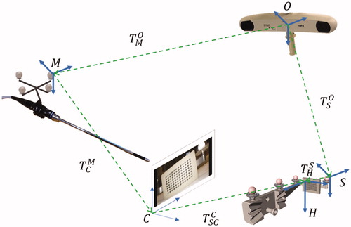 Figure 3. Hand-eye camera calibration transformation diagram, from the laparoscope camera (C) to the optical markers attached to it (M).