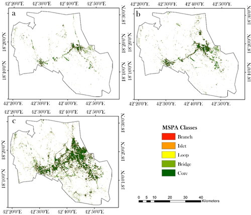 Figure 4. MSPA of the urban areas demonstrating the evolution of urban morphology in terms of core, bridge, loop, islet, and branch structures for (a) 1990, (b) 2000, and (c) 2020.