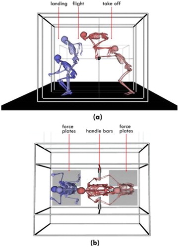 Figure 1. Experimental protocol. (a) Motion phases of the kong-vault technique. (b) Force sensors.