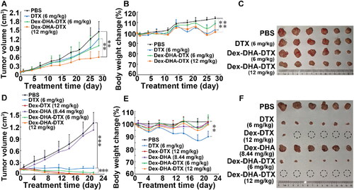 Figure 6. In vivo antitumor activities of the conjugate 18 (Dex–DHA–DTX) against tumor-bearing nude mice. (A and B) Mice tumor volume and mice body weight changes within 28 days in mice models bearing lung cancer cells H460. The mice were injected with the conjugate 18 via tail vein once a week for 4 weeks. (C) Tumor images of H460 xenograft at the end of the experiment. (D and E) Mice tumor volume and mice body weight changes within 21 days in MCF-7 xenograft models. The mice were injected with dextran-based conjugates once a week for 3 weeks. (F) Tumor images of MCF-7 xenograft at the end of the experiment. Data were presented as mean ± SD (n = 6). Dex means dextran. Red circle marked in tumor image represents complete eradication of xenograft tumor upon treatment. **P < 0.01, ***P < 0.001.