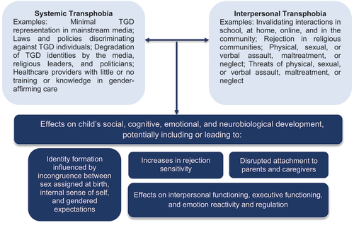 Figure 1. Proximal and distal experiences of transphobia may influence various aspects of child development.