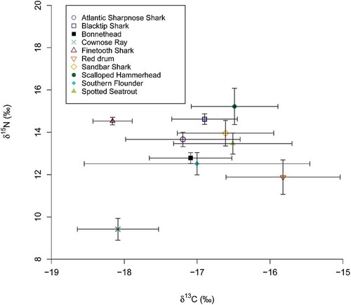 Figure 2. Mean (±SD) isotopic signatures (δ13C and δ15N) for elasmobranchs and teleosts belonging to the predator community in Bulls Bay, South Carolina. Only data from age-0 Atlantic Sharpnose Sharks that were caught during August are included in the mean values for that species.