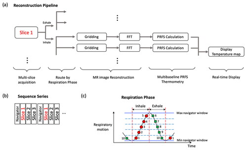 Figure 1. (a) Multi-slice and real-time reconstruction pipeline for multi-baseline PRFS acquisition. Once MRI data are obtained, the data are sorted by a slice number, a navigator position, and a respiratory phase (inhale/exhale). (b) Interleaved acquisition sequence series and (c) an example of a multi-baseline approach: five baselines at each respiration phase and 10 different reference images are recorded for PRFS calculations.
