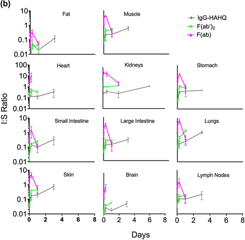 Figure 5. Tissue interstitial:serum concentration ratios over time for FcRn-binding (a) and FcRn-non-binding (b) antibody variants after a single IV injection (5 mg/kg) in C57Bl/6 mice. Interstitial concentrations detected by radioactivity in terms of 125I (intact only) were normalized to serum concentrations (125I) for all molecules except for F(ab), for which 111In serum concentrations were used for normalization due to contamination of 125I serum signal by catabolites escaping the kidneys.