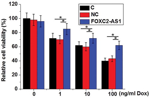 Figure 3. FOXC2-AS1 overexpression increased viability of cardiomyocytes under Dox treatment.Notes: *, p < 0.05.