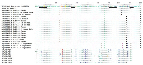 Figure 2. HTLV-1 p12 alignment. Predict aminoacid sequence of p12 of HTLV-1 asymptomatic carrier from Rio de Janeiro, Brazil (HUGG25), HTLV-1aA Prototype (BOI: L36905) and other previously described p12 truncated sequences that are available on GenBank.*: represents stop codon; HAM: HAM/TSP individuals; AC: HTLV-1 asymptomatic carriers; WA: West Africa; CA: Central Africa. The cleavage sites (yellow) and the ubiquitylation (88) positions (red) are highlighted. SH3-binding motifs are underlined. Calcineurin-binding motif is shown in bracket.