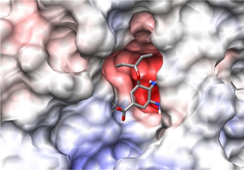 Figure 4 Model showing docked configuration of oseltamivir with H1N1 neuraminidase.