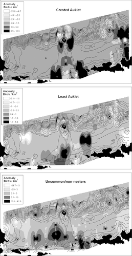 Figure 7 Anomaly maps (pre-eruption minus post-eruption) of seabird distributions in the study area. Light colors indicate areas of higher densities following post-eruption, dark colors indicate areas that had lower densities following the 2008 eruption.